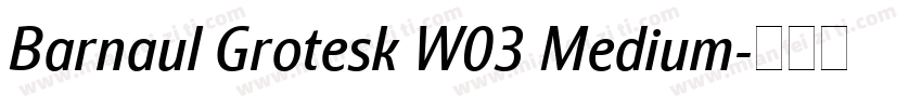 Barnaul Grotesk W03 Medium字体转换